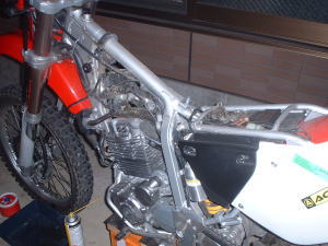 �I�[���k�[�h